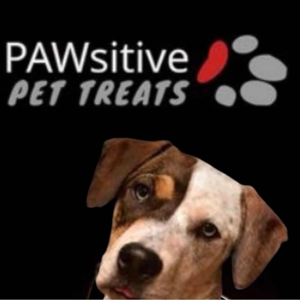 Become a Piece of My Dream 🐾GoFundMe on Our Website 🐾